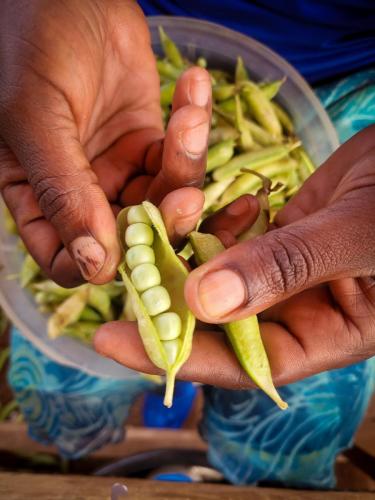 Petit pois (amashaza)